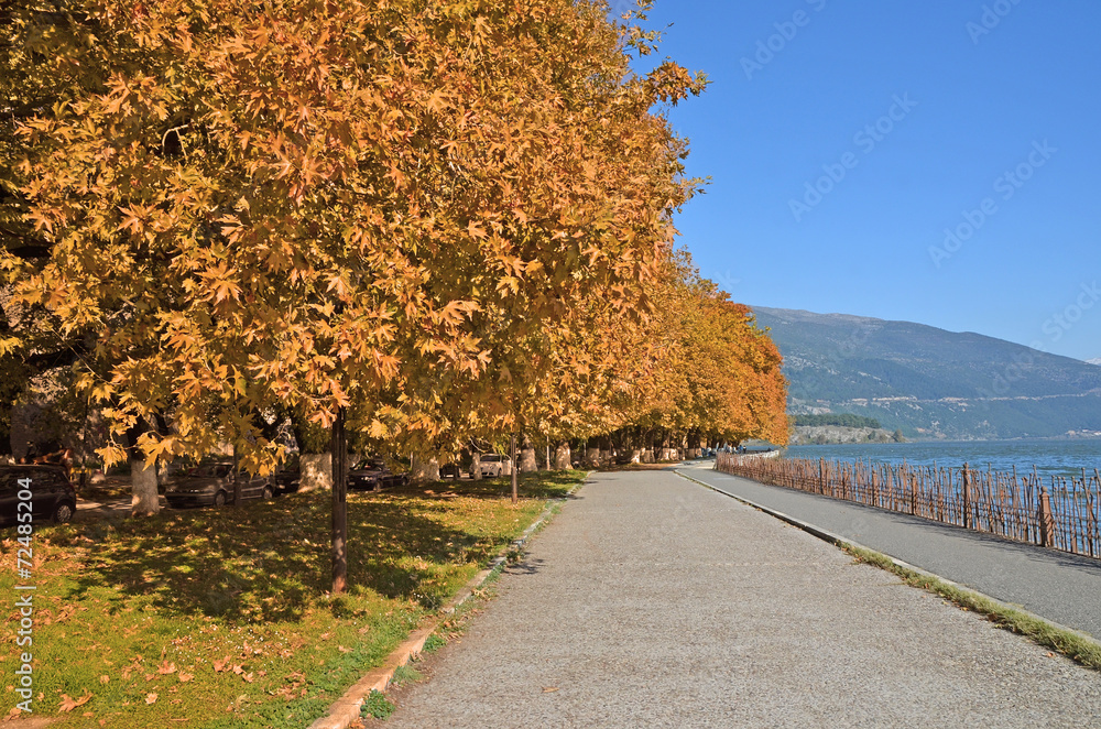 yellow trees in Giannena lake autumn