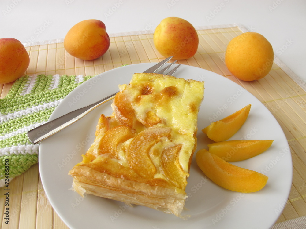 Aprikosenkuchen-Joghurt-Kuchen