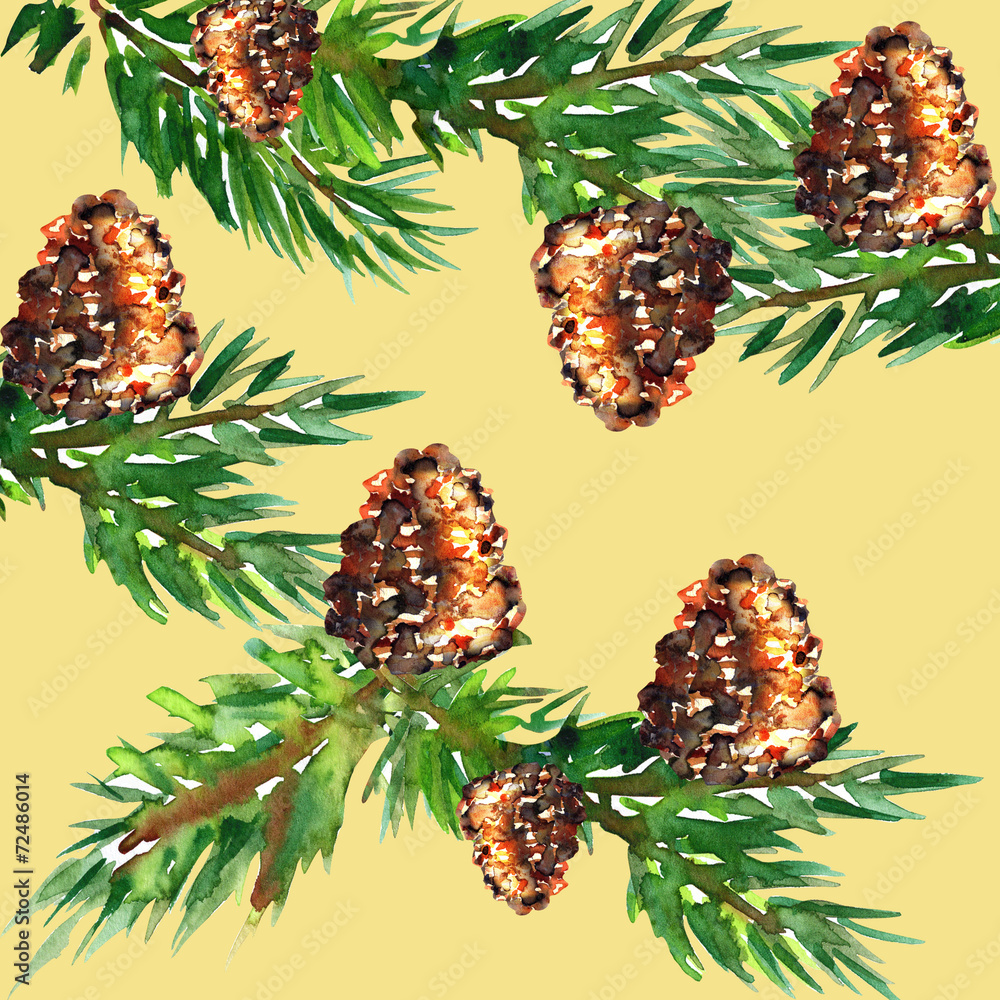 Obraz premium Fir with cones