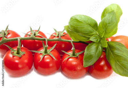 grappe de tomates basilic