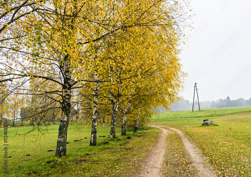 Naklejka premium Autumn in contryside of Vidzeme region of Latvia