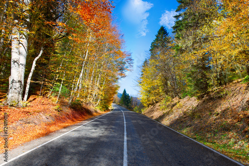 autumn mountain landscape.  asphalt road