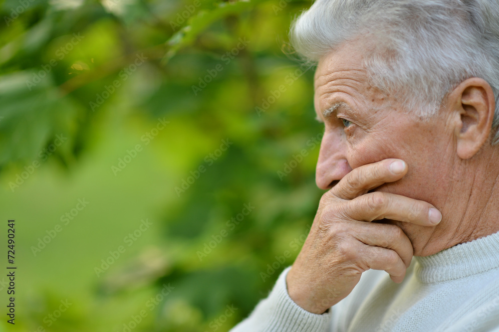 portrait of a senior man portrait of a senior man