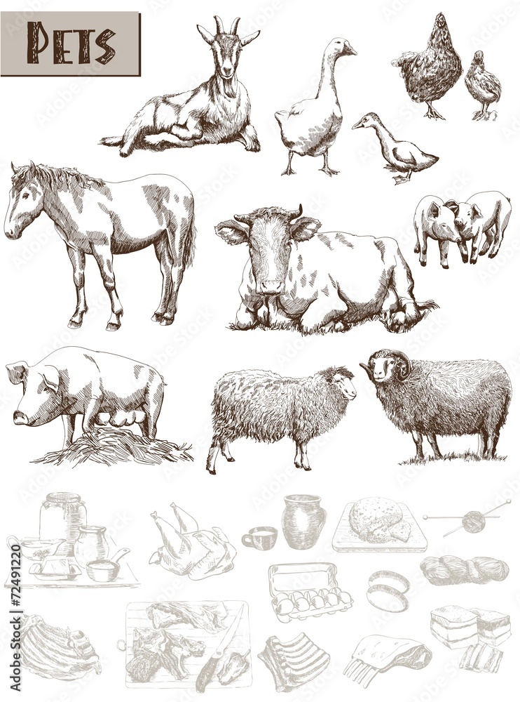 farm animals farm animals