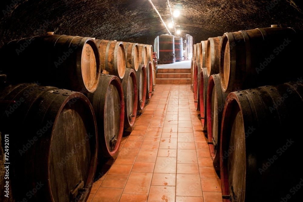 Barrels in a hungarian Wine cellar Barrels in a hungarian Wine cellar