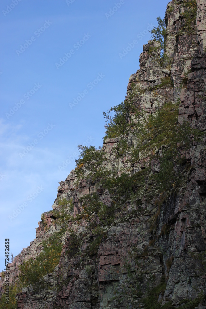 Cliff with a birch growing on rock spur