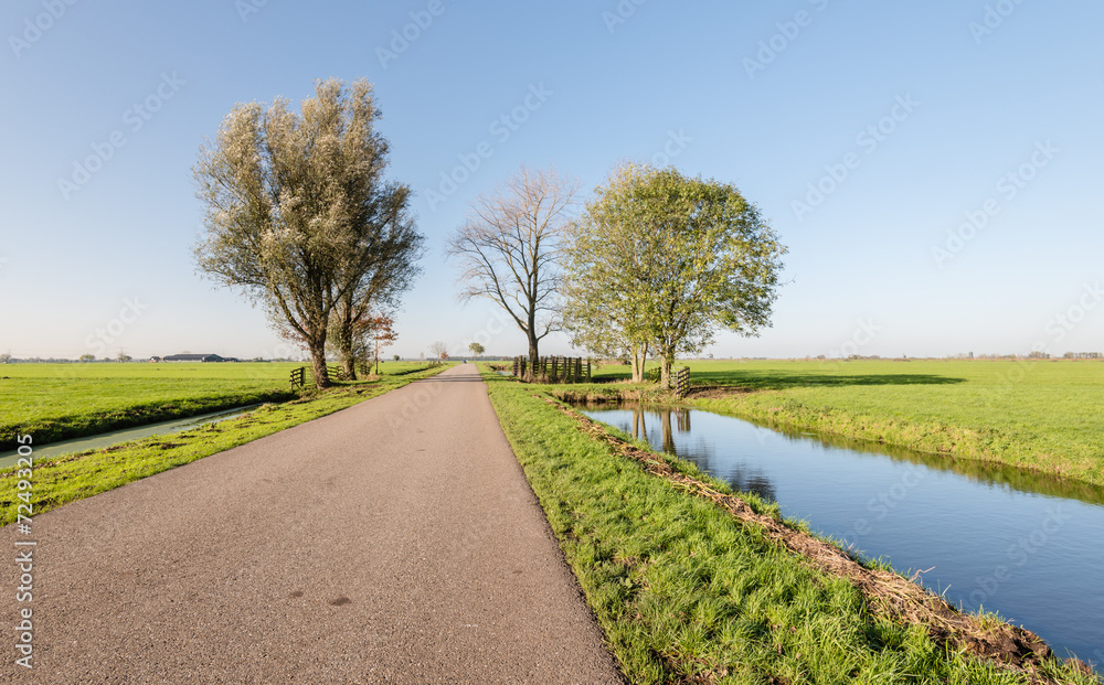 Dutch polder landscape early in the morning
