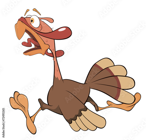 Illustration of turkey cartoon