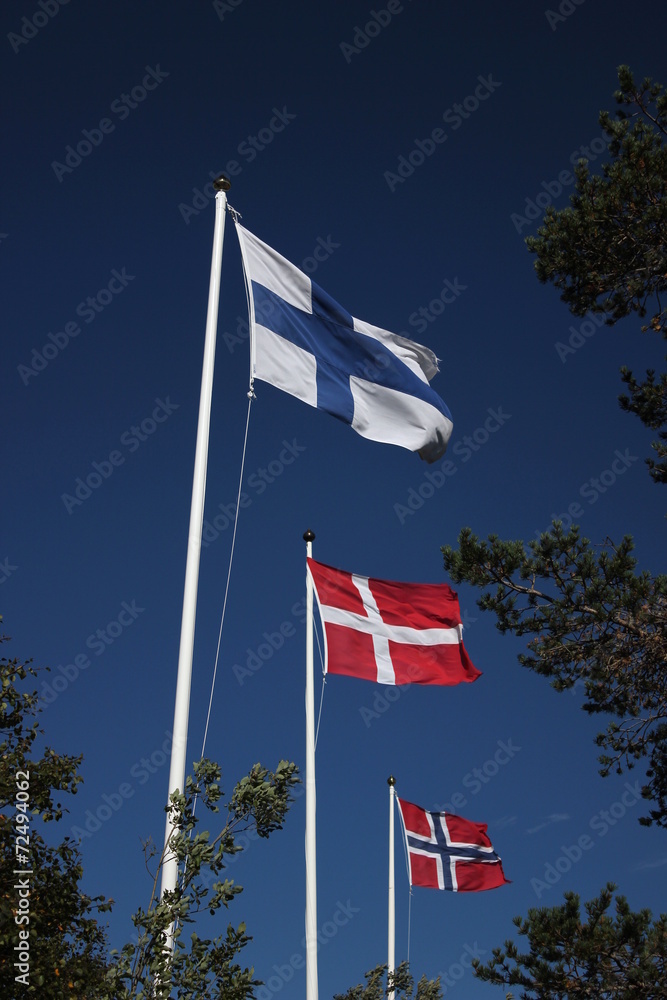 Flags of Denmark, Sweden and Norway blowing in the wind on dark blue sky