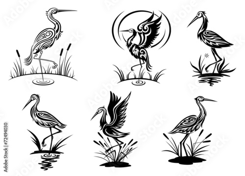 Obraz na płótnie Stork, heron, crane and egret birds