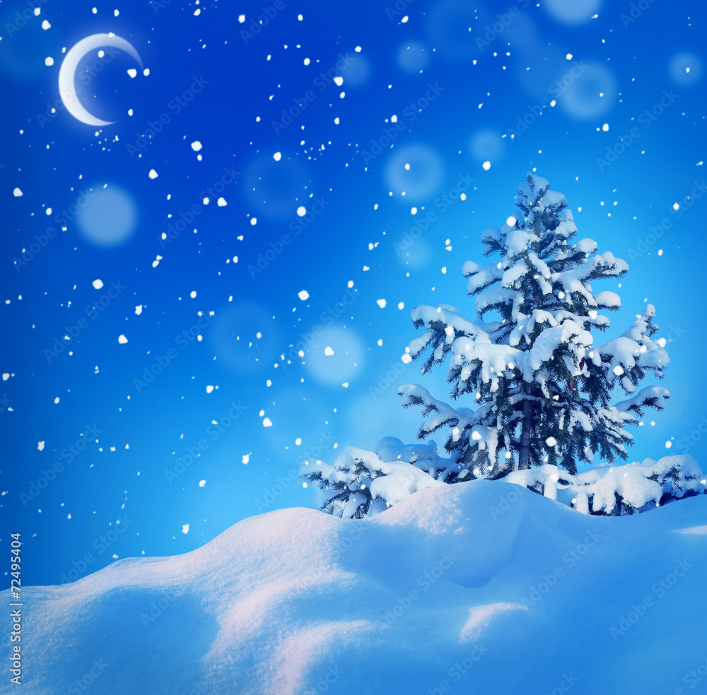 winter christmass night landscape winter christmass night landscape