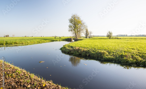 Dutch polder landscape in autumn