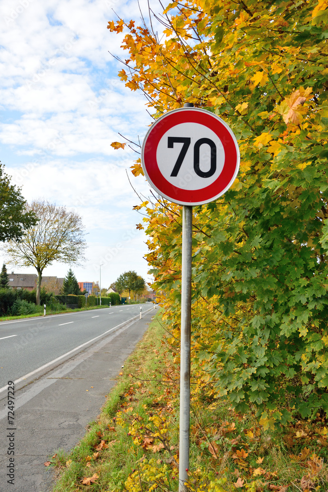 Speed Limit Road Signs speed-limit-road-signs