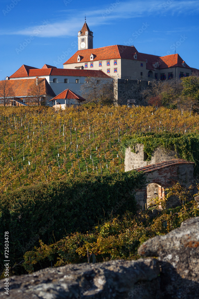 Fototapeta premium Burg mit Weinreben