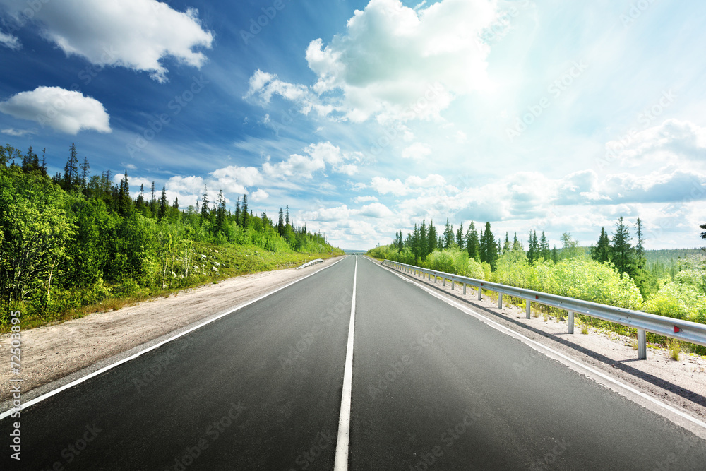 road in north forest road in north forest