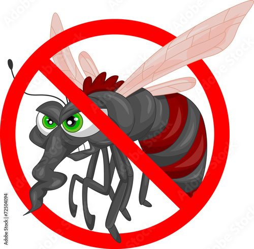 mosquito cartoon