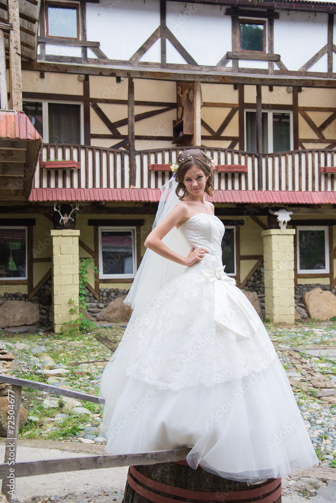 Fototapeta premium Beautiful bride on wedding day