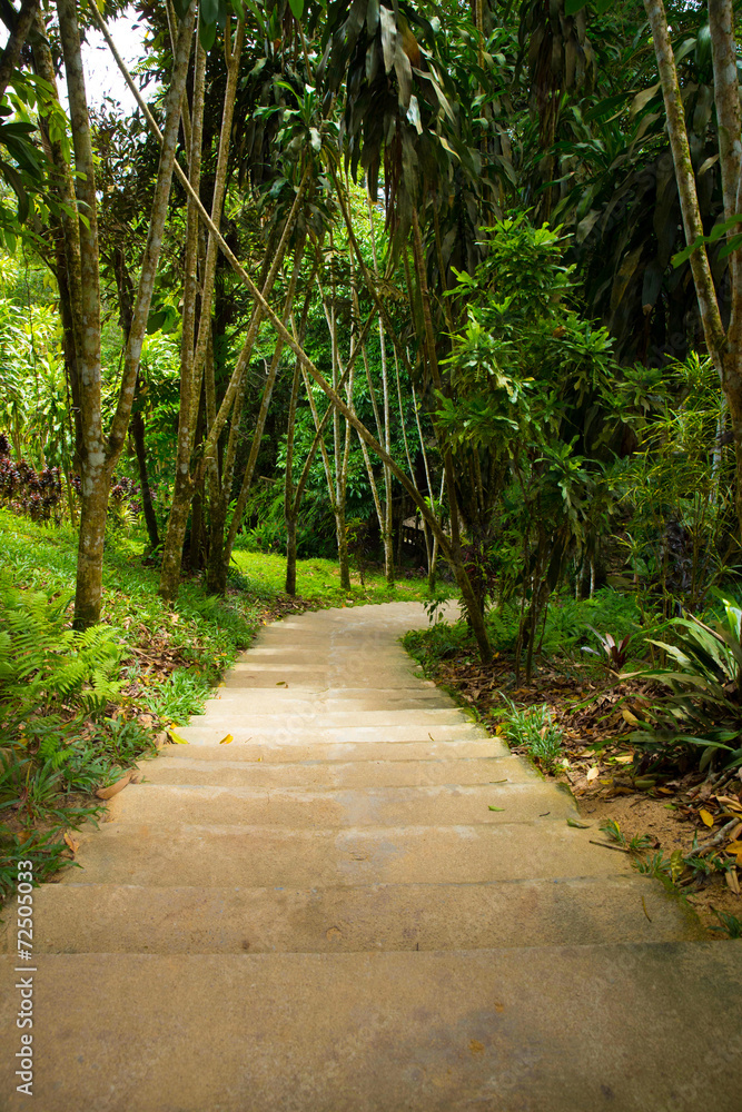 Garden stone path Garden stone path