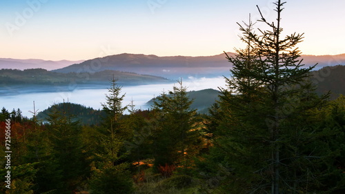 Mountains and Spruce and Fog. Time Lapse