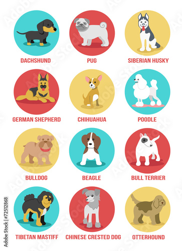 Vector dogs icon set