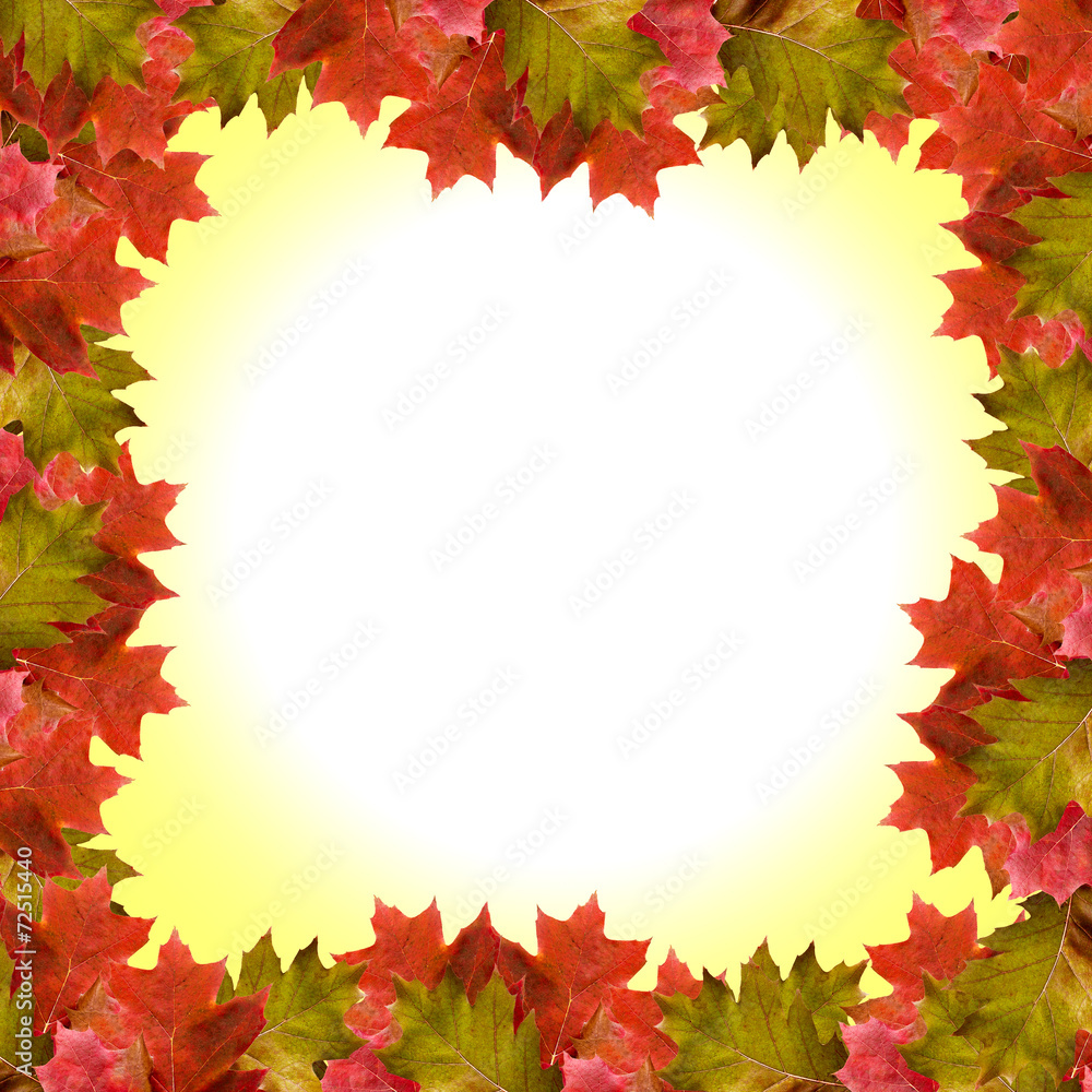 autumn leaves autumn leaves