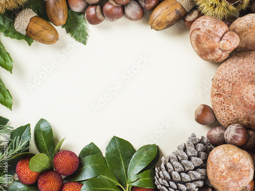 Marco con espacio en blanco y frutos de otoño y Navidad photo