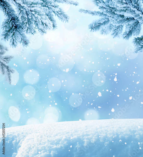 Winter Christmas background with fir tree branch © Lilya