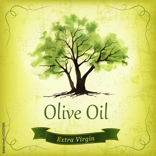 Hand drawn olive tree illustration with watercolor.
