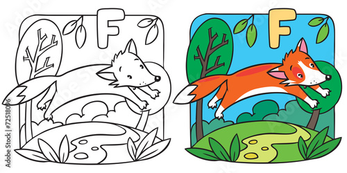 Little red fox coloring book. Alphabet F