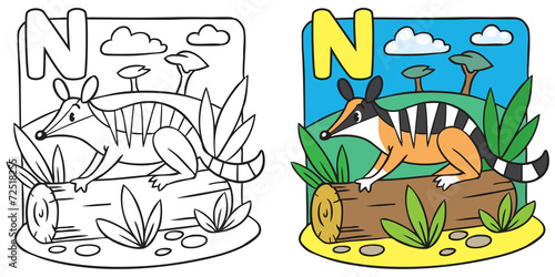 Little numbat coloring book. Alphabet N
