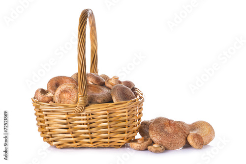 Cesta con lactarius deliciosus o níscalos aislada sobre blanco