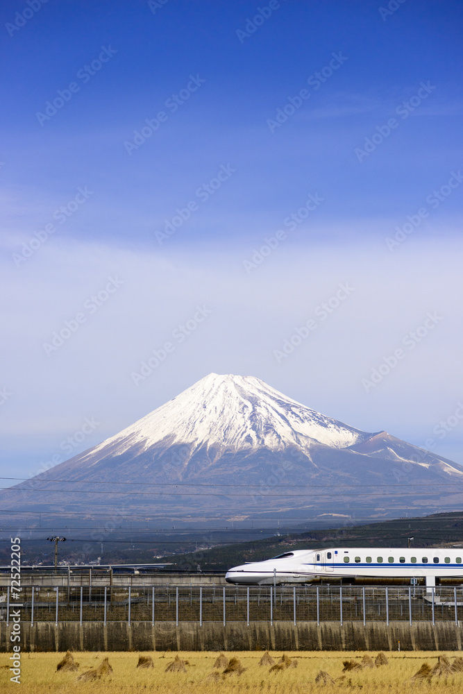 Fototapeta premium Mt. Fuji w Japonii