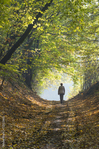 A woman walks through the forest in autumn.