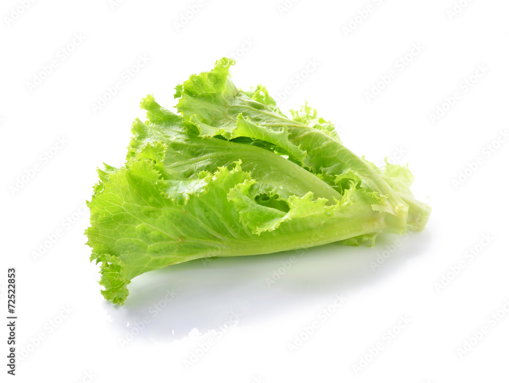 fresh lettuce leaves isolated on white fresh lettuce leaves isolated on white