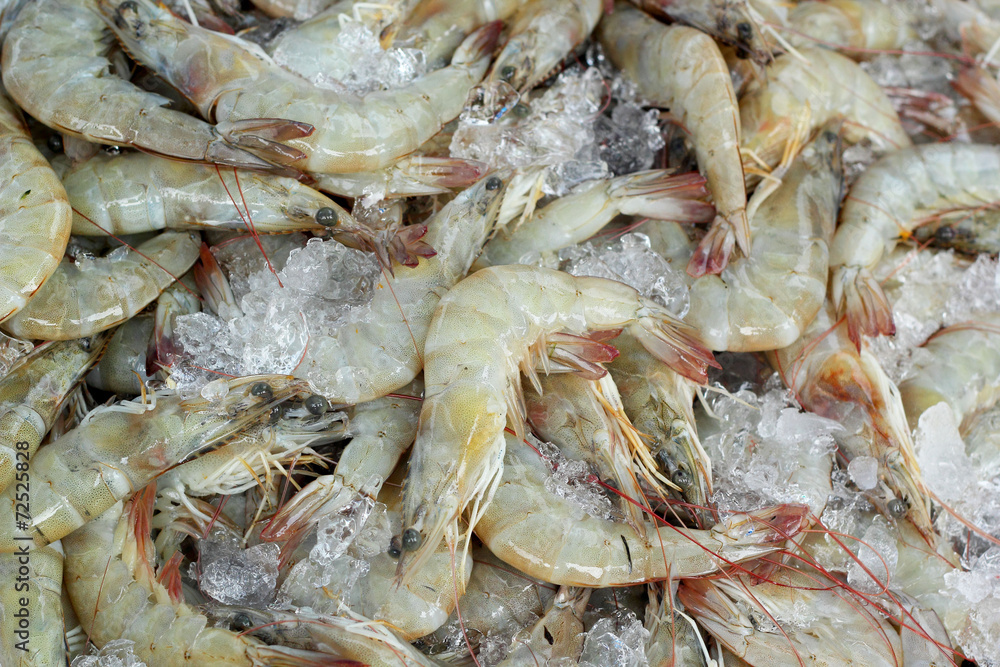 Fresh shrimp in the market Fresh shrimp in the market