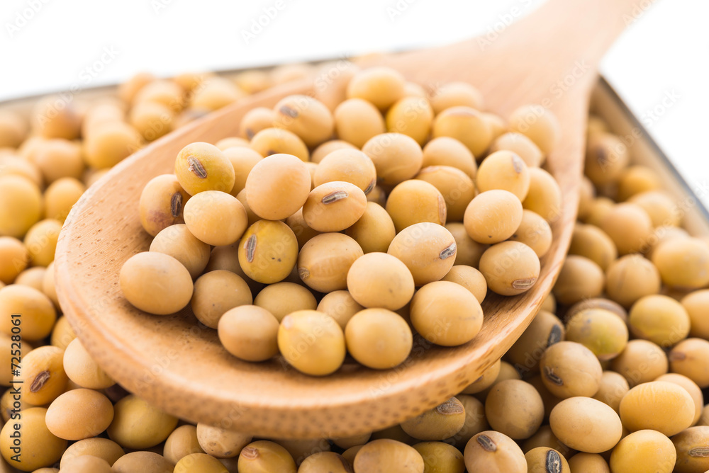 Soybean isolated on white background Soybean isolated on white background