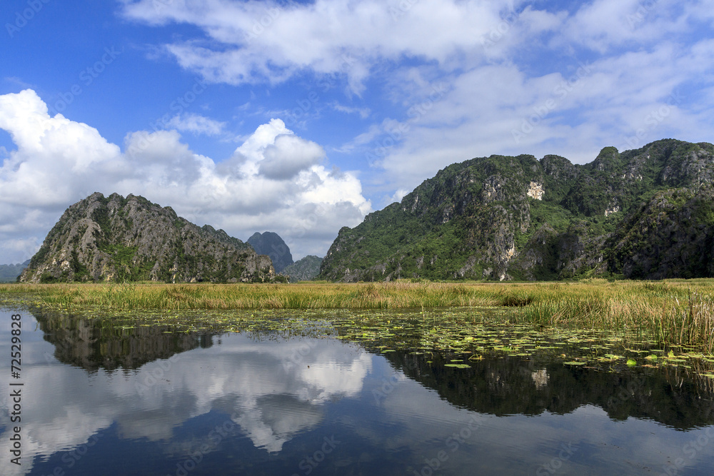 Van Long-Ninh Binh Nature Reserve is a wetland