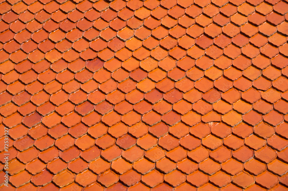 Fototapeta premium roof