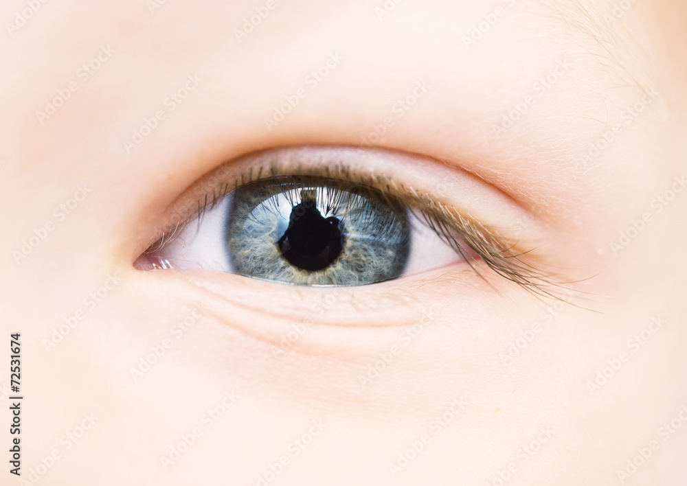 Fototapeta premium baby eye