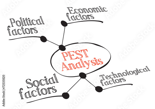 PEST Diagram of the macro-environmental factors