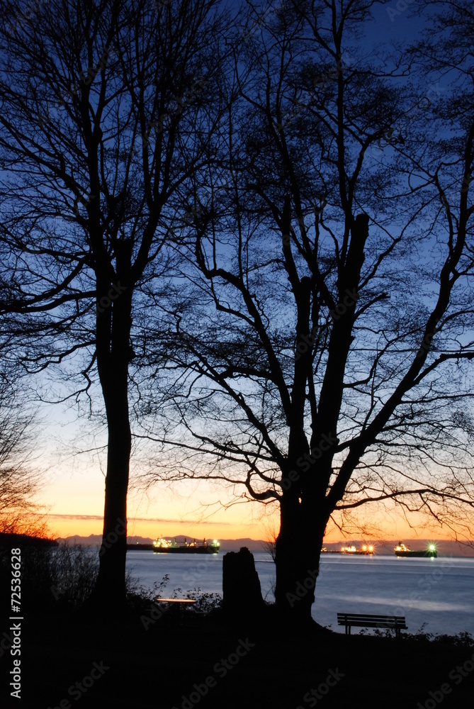 Night scene of downtown Vancouver in Stanley Park