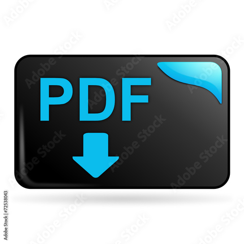 pdf sur bouton web rectangle bleu