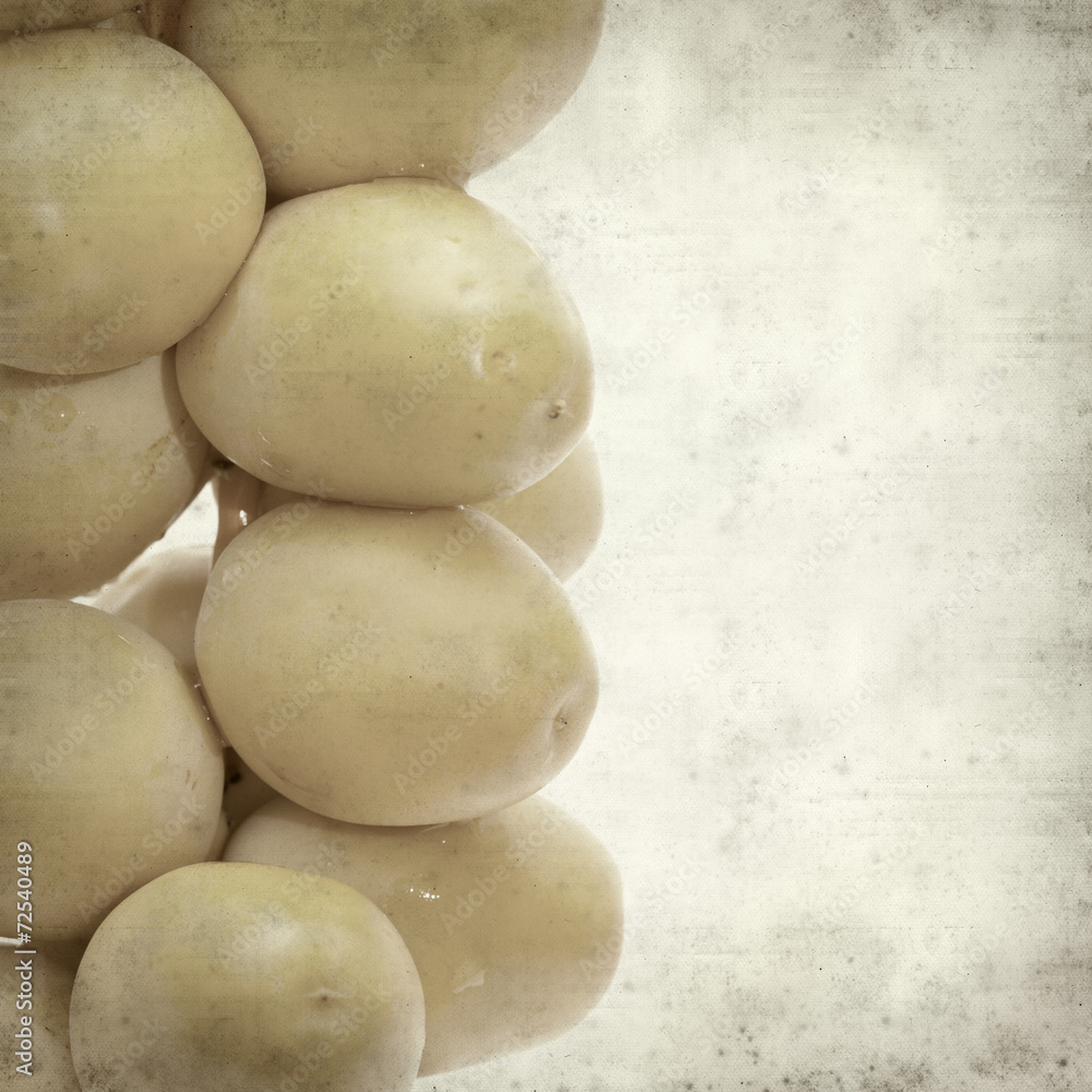 Fototapeta premium textured old paper background