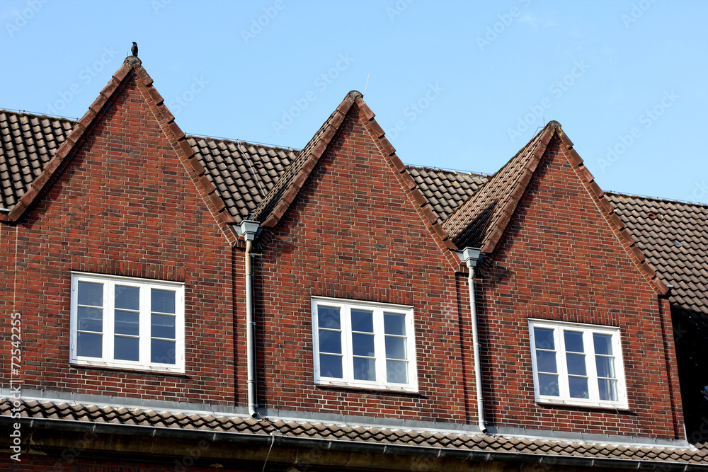 roof of the house