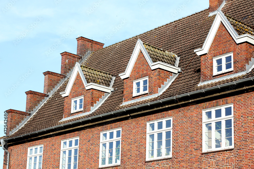 the roof of the house