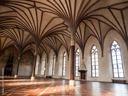 Gothich arches in castle hall #72542656