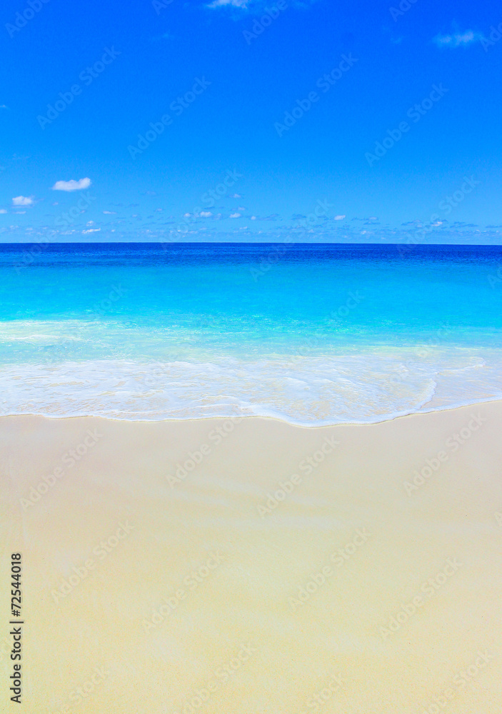 Obraz premium Sea Storm Beach