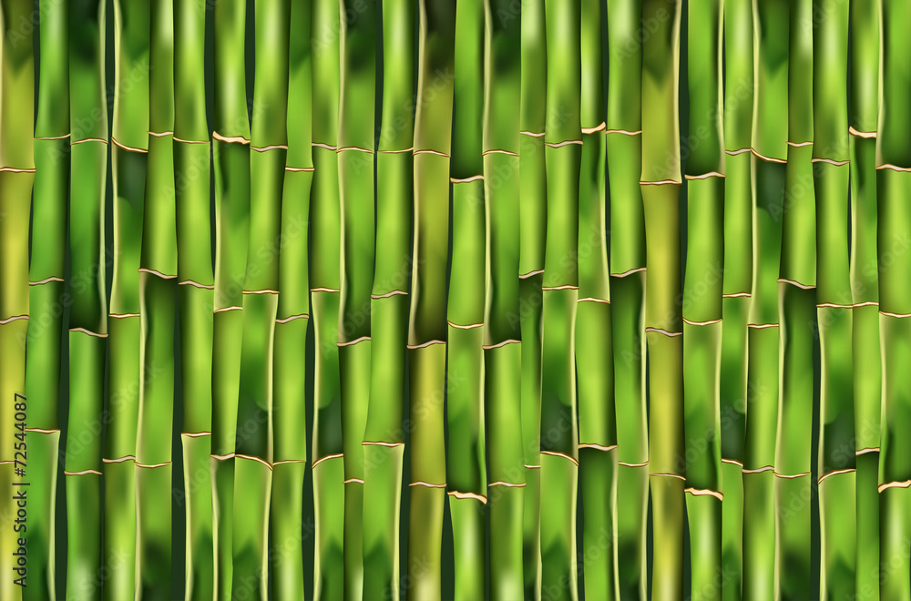 Fototapeta premium Bambusowe tło