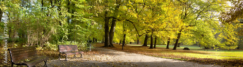 Fototapeta Naklejka Na Ścianę i Meble -  Fall in public park
