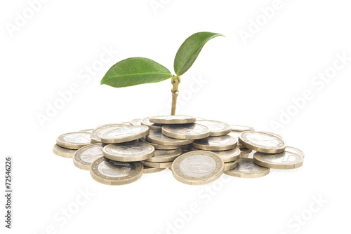 Fotografie Growing Investment